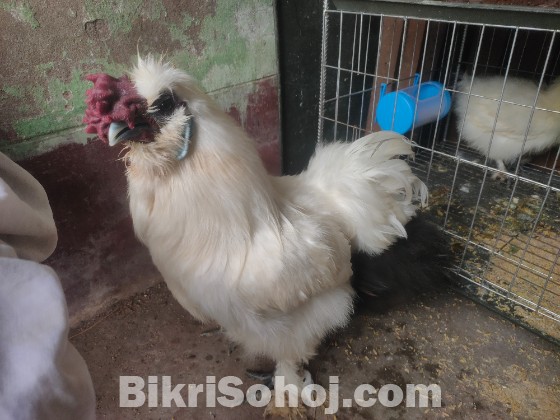 টপ কোয়ালিটি এক সেট সিল্কি